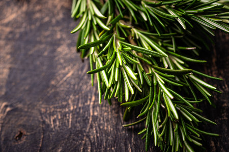Rosemary.の写真素材