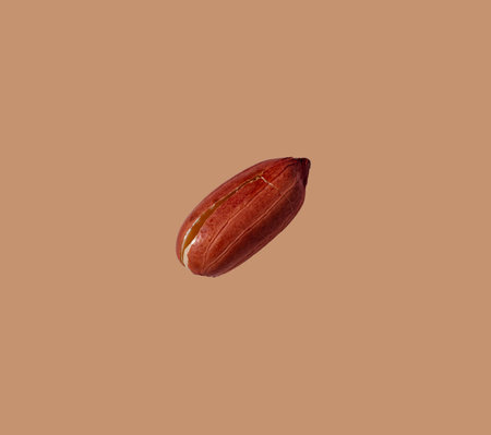Peanuts isolated on color background
