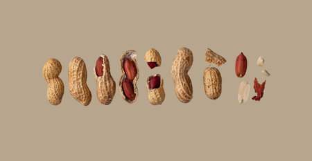 Peanuts isolated on color background
