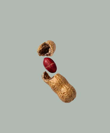 Peanuts isolated on color background