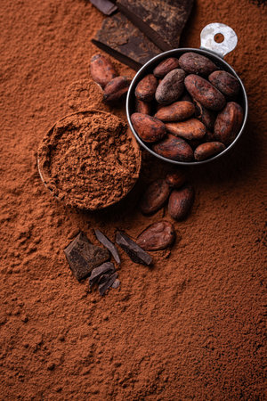 Cocoa powder, beans and natural chocolateの写真素材