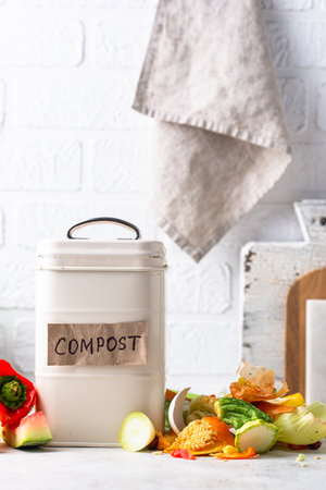 Vegetable waste for making compost. Zero waste conceptの写真素材