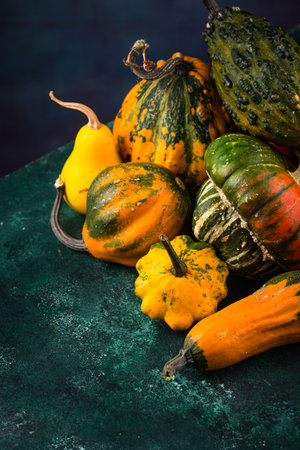 Various decorative squash on green backgroundの写真素材
