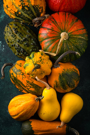 Various decorative pumpkin on green backgroundの写真素材