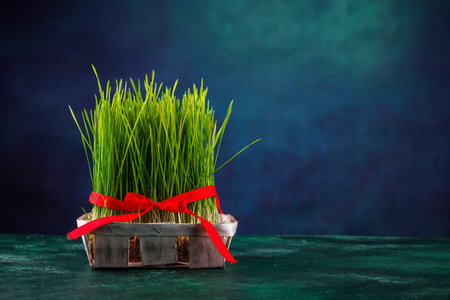 Traditional Azerbaijan spring holiday Novruz conceptの写真素材