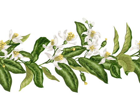 Hotizontal seamless pattern line of citrus fruit tree with bloomimg flowers and tiny fruits made in vector graphic in elegant style. Good for wedding and other holiday invintationのイラスト素材