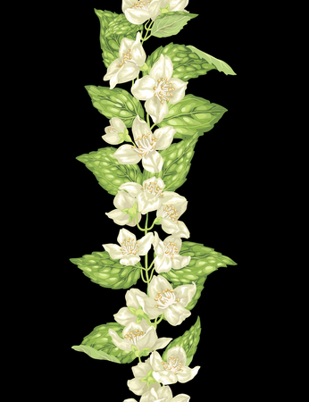 Jasmine seamless vertical line element in vertical branch with flowers and leaves in vector illustrationのイラスト素材
