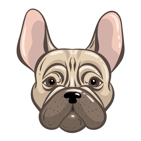 French bulldog vector tatoo style illustration in custom designのイラスト素材