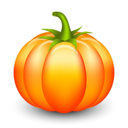 Vector illustration of pumpkinのイラスト素材