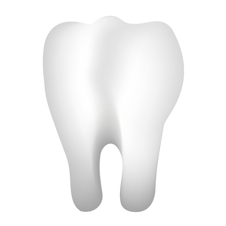 3d illustration of toothのイラスト素材