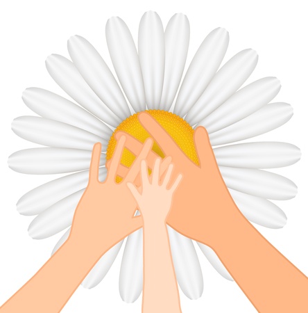Family illustration of hands on chamomile backgroundのイラスト素材
