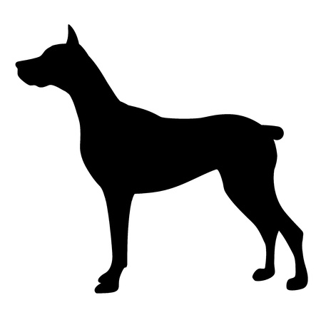 illustration of dogのイラスト素材