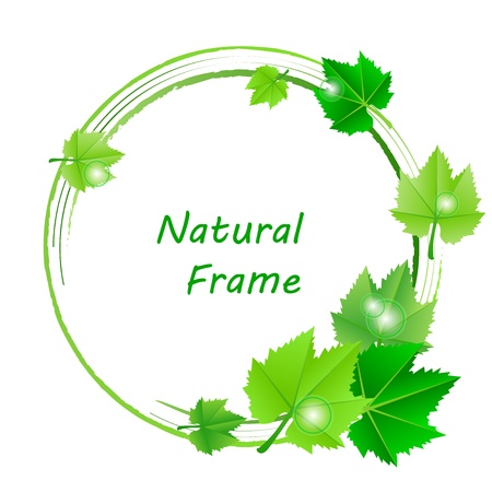 frame with green leavesのイラスト素材