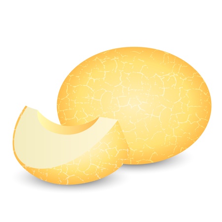  illustration of melonのイラスト素材