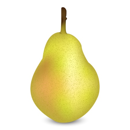 illustration of pearのイラスト素材
