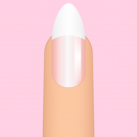 Vector illustration of french manicure on sharp nailのイラスト素材