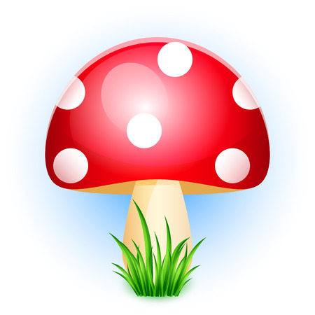 Vector illustration of amanita in grassのイラスト素材