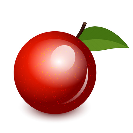 Vector illustration of shiny appleのイラスト素材
