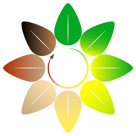 Four seasons - leaf circle - vector illustrationのイラスト素材