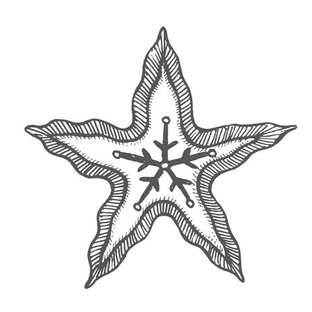 Gingerbread cookies with icing in the shape of a star. Graphics illustration. This sweetness can be used on New Year's textiles, printed products, postcard and stickers, Christmas compositions and decor.のイラスト素材