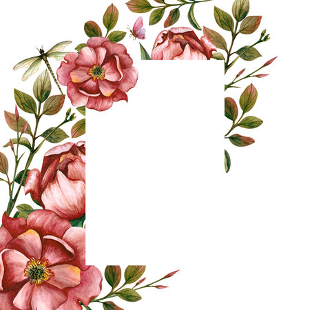 Delicate flower frame postcard with empty space inside. Watercolor illustration isolated from the background. Peonies, butterfly, and dragonfly for greeting cards or template for wの写真素材