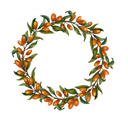 Wreath with sea buckthorn's branches in a circle. Watercolor illustration on isolated background. Bright orange berries and foliage for packaging design of cosmetics, oil, tea andの写真素材