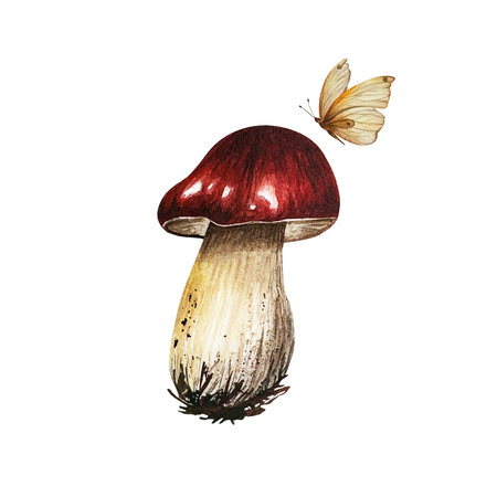 Aspen mushroom with a red cap and a flying butterfly on the side. Watercolor illustration isolated from the background. Hand drawn red-headed mushroom with dirt spots. For book andの写真素材