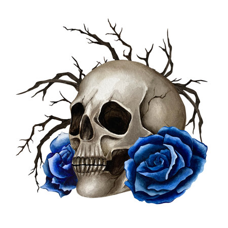 Skull with dark blue roses and dry branches. Watercolor illustration in Gothic style for Halloween and Day of the Dead isolated from background. For packaging, pattern design, textile, print productの写真素材