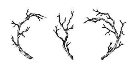 Set graphic dry branches without leaves. Black Vector illustration of sticks with white plate isolated from background. Curved ramification clip art for Gothic, Halloween, Day of the Dead designsのイラスト素材