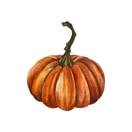 Orange pumpkin with stem. Watercolor illustration isolated from background. Hand drawn autumn ripe textured vegetable. For composition of Halloween design, decoration, postcards. Logo packagingの写真素材