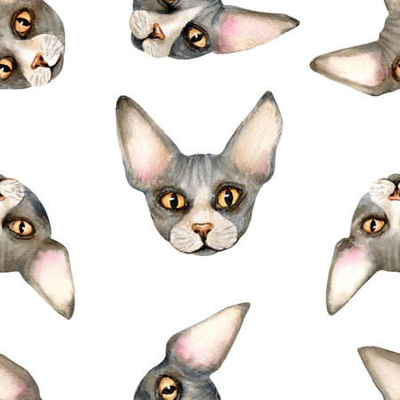 Sphinx cat animal head seamless pattern. Sphynx hairless kitten, bald skin, domestic cute grey pet...