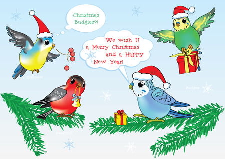 Merry Christmas from vector cartoon style Birds!のイラスト素材