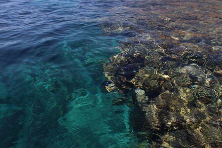 Turquoise water and multi-colored corals of the Red Sea. Great texture and background. Photo through the surface of the water. Transparent and clearの写真素材