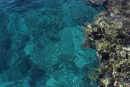 Turquoise water and multi-colored corals of the Red Sea. Great texture and background. Photo through the surface of the water. Transparent and clearの写真素材