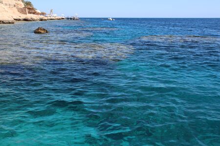 Turquoise water and multi-colored corals of the Red Sea. Surface of the water. Transparent and clearの写真素材
