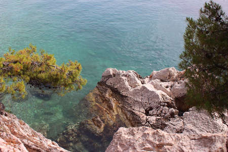 Turquoise clear waters of the Adriatic Sea. Rocky shores. Milocer park. Montenegroの写真素材