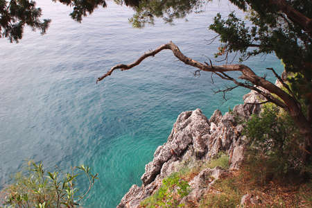 Turquoise clear waters of the Adriatic Sea. Rocky shores. Milocer park. Montenegroの写真素材
