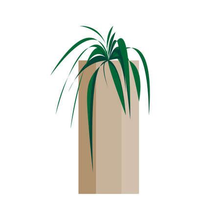 Plant in brown vase on white background. Beige pot with flower for home decoration. Flat vector illustration of flora.のイラスト素材