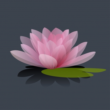 Lotus flower isolated on a black background  Vector illustrationのイラスト素材