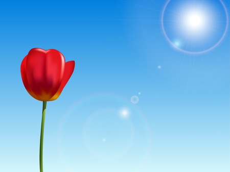 Red tulip on a blue sky backgroundのイラスト素材