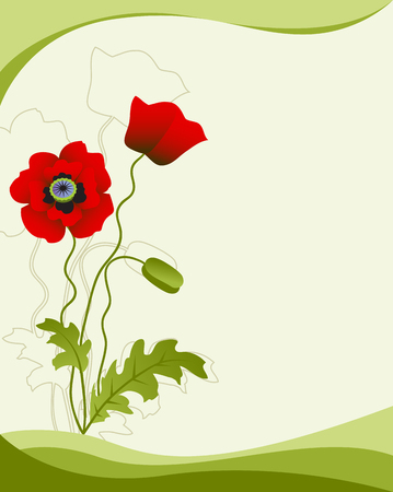 Poppy flower isolated on a green backgroundの写真素材