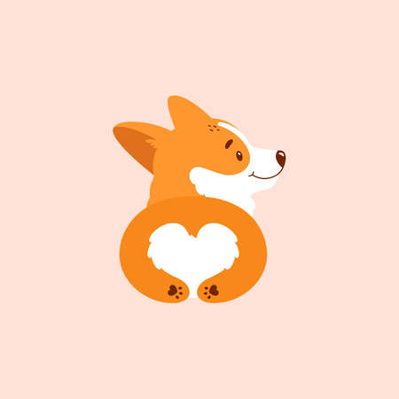 Welsh corgi puppy isolated on pink background. back view.のイラスト素材