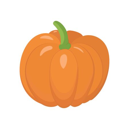 Pumpkin vector illustration. Fresh seasonal vegetable. Icon design.のイラスト素材