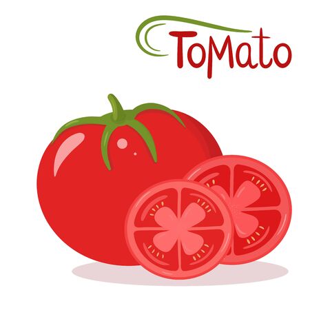 Vector illustration of tomatoes in whole and in slices with lettering.のイラスト素材
