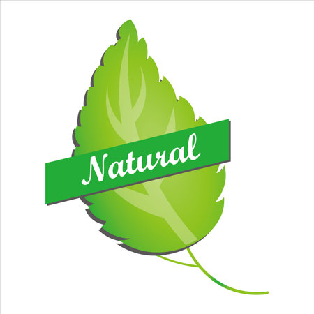 Natural product, healthy food icon vector illustration symbolのイラスト素材