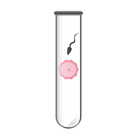 Fertilization, spermatozoon and egg cell icon vector illustration symbolのイラスト素材