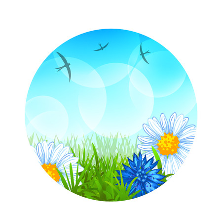 Round summer background with grass, swallows, daisies, cornflowers and bubblesのイラスト素材