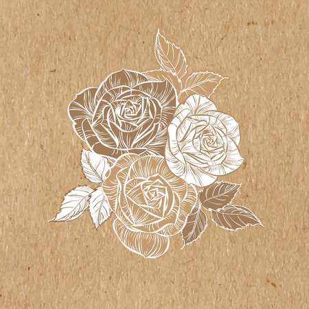Hand-drawn vector white roses on kraft paperのイラスト素材