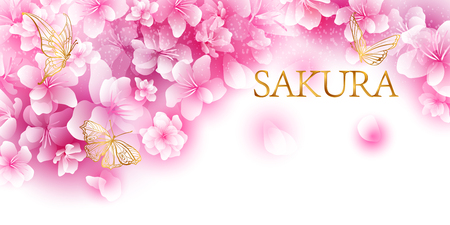 Cherry blossoms sakura illustrationのイラスト素材