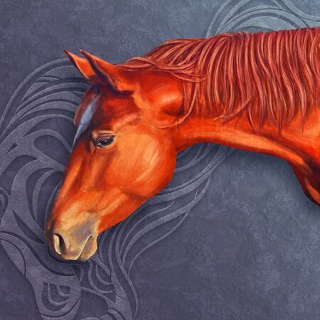horses headの写真素材